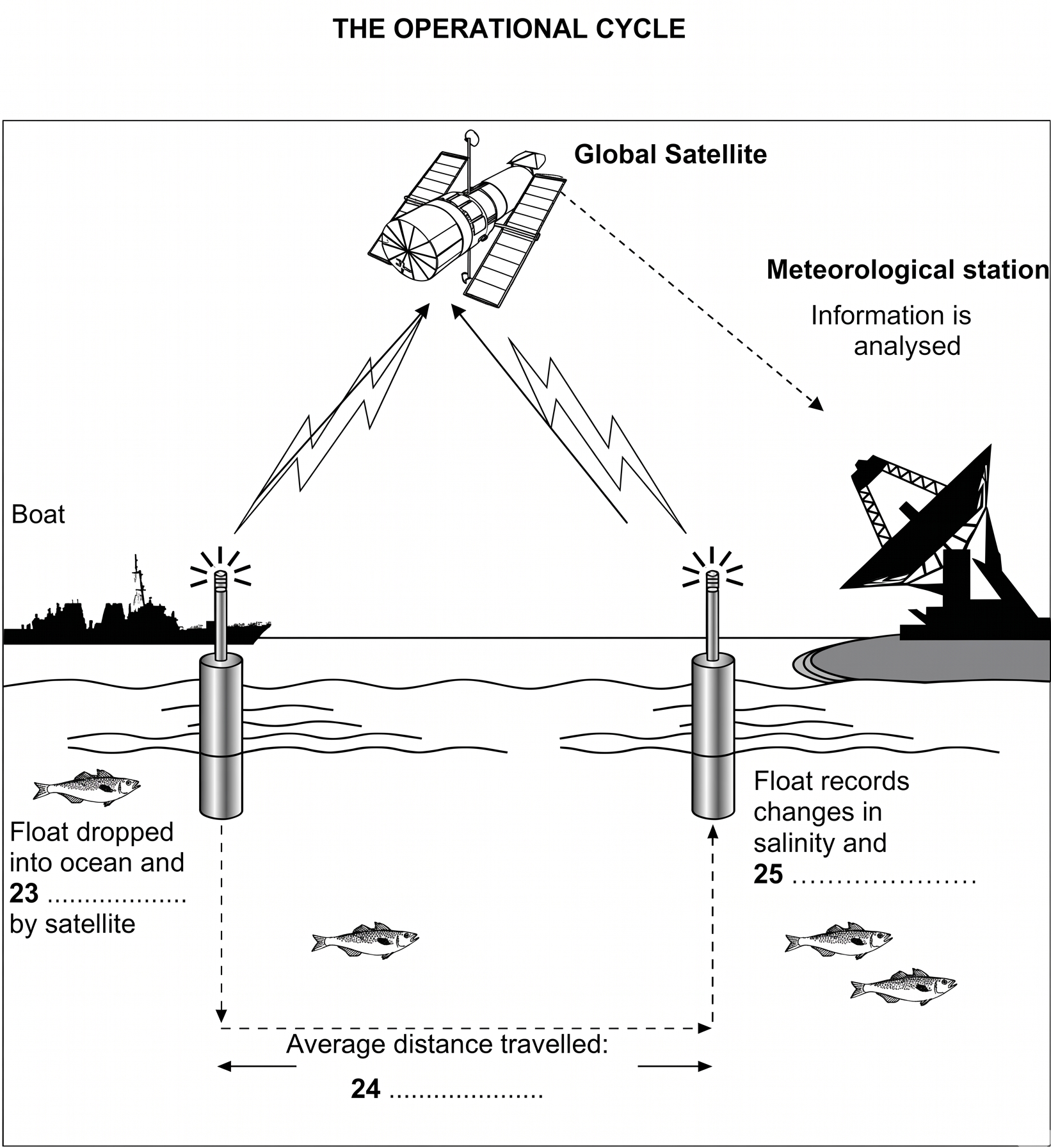 The Operational Cycle Diagram